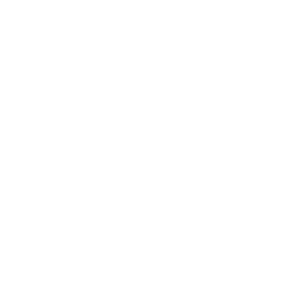 The Nineties